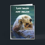 **50th BIRTHDAY** LÅT DIN HÅR NED OCH CELEBRAT Kort<br><div class="desc">DEN HÄR SVERIGEN GICK BARA MITT ÖGA OCH JAG VET ATT DET SKULLE VARA FÖR "DEN HÄR FÖRVARINGEN" ÖVER WhatHill!!! JAG HOPPAS ATT DIN VÄNNE ELLER FAMILJELEMENT SKULLE VILJA DETTA KORT SEDAN ÄR JAG "SÅ LYCKLIG ATT JAG GJORDE DET"!!! TACK FÖR ATT JAG STOPPADE EN AV MINA ÅTTA LAGRINGAR!!!!!! MINNS...</div>