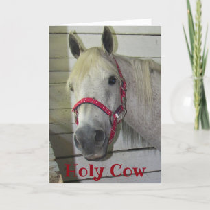 ***50th*** HELIGA COW YOUNG FILLY GRATTIS PÅ FÖDEL Kort