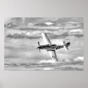 51 POSTER