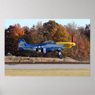 51 POSTER