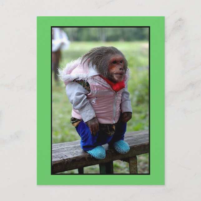 52170 VYKORT (Framsida)