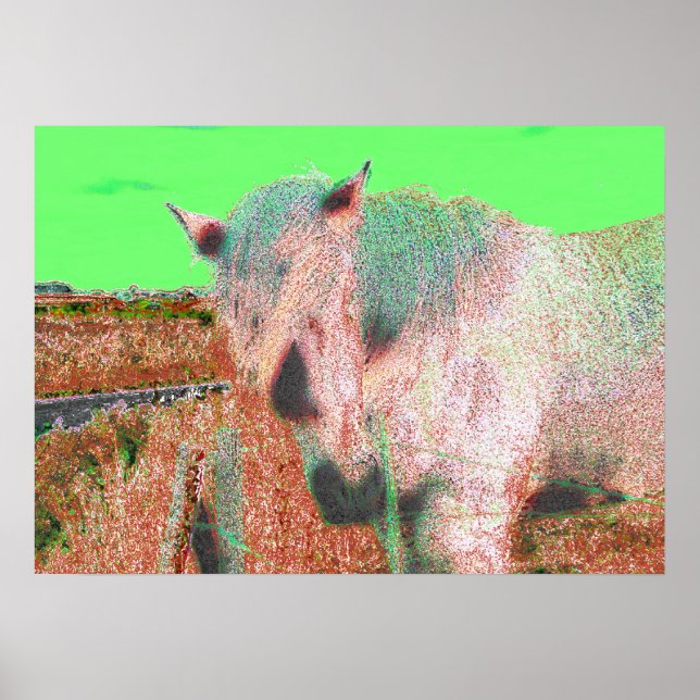 52 POSTER (Framsidan)