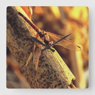 534424932Elegant Red Darter Dragonfly Insekt Art Fyrkantig Klocka