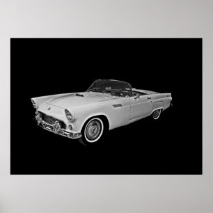 55 T Fågel Poster