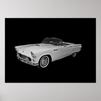 55 T Fågel Poster