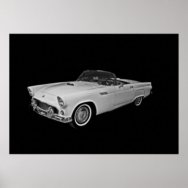 55 T Fågel Poster (Framsidan)