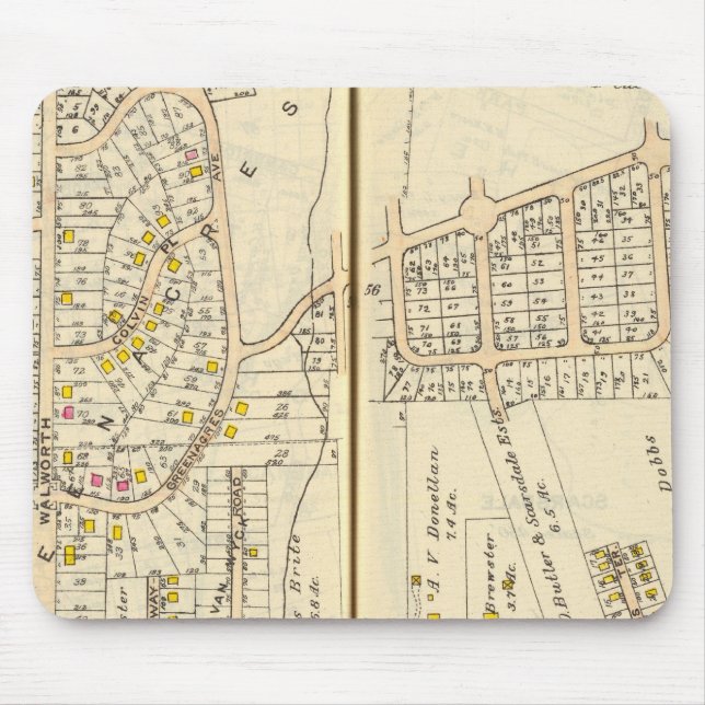 5657 Scarsdale Musmatta (Framsidan)