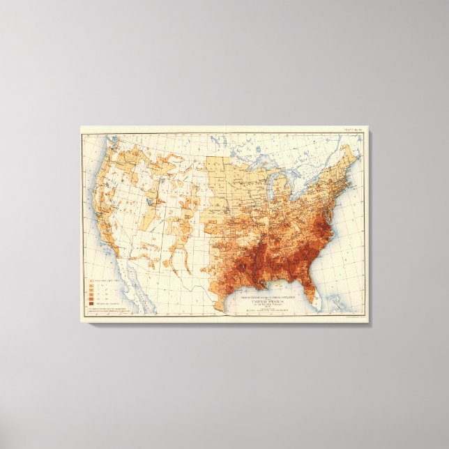 56 Andel av befolkningen i Negro Canvastryck (Framsida)