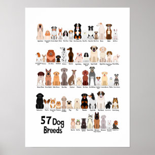 57 hundraser poster