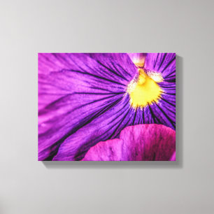 5884-Lila Pansy Canvastryck