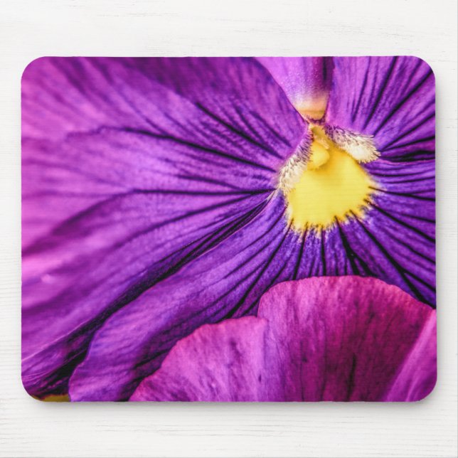5884-Lila Pansy Musmatta (Framsidan)