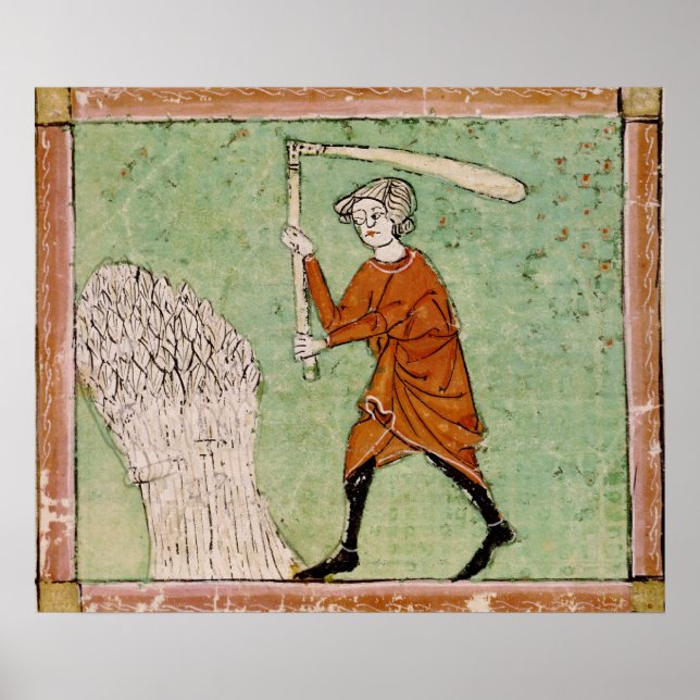 59 augusti: Sköldvete Poster (Framsidan)