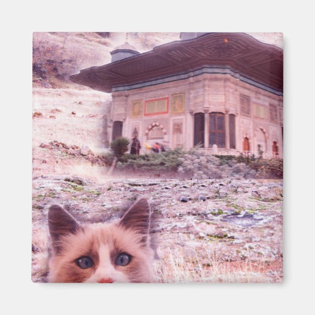 5,1 cm2 Magnet Cat (Framsidan)