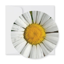 5,25 x 5,25 Invitationscirkel