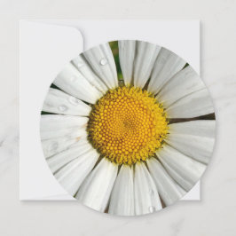 5,25 x 5,25 Invitationscirkel Inbjudningar