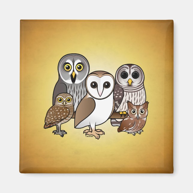 5 Birdorable Uggla Magnet (Framsidan)