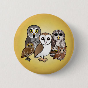 5 Birdorable ugglor Knapp