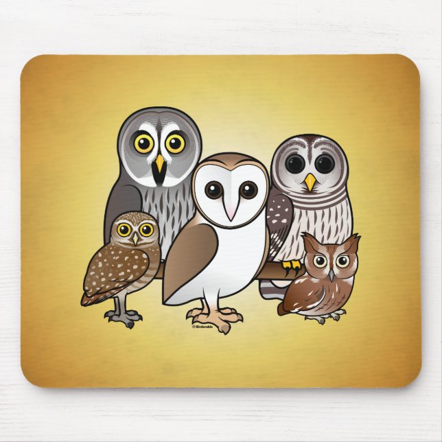 5 Birdorable ugglor Musmatta (Framsidan)