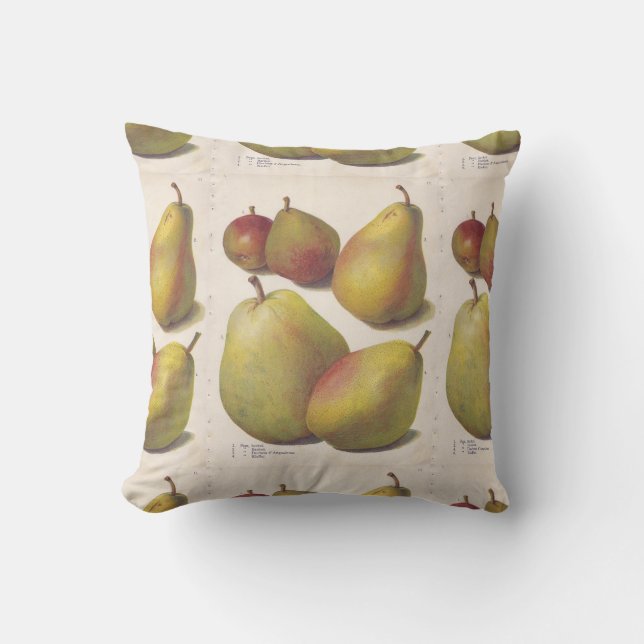5 illustrerade vintagepears dämpar kudde (Framsida)