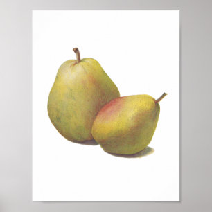 5 illustrerade vintagepears poster
