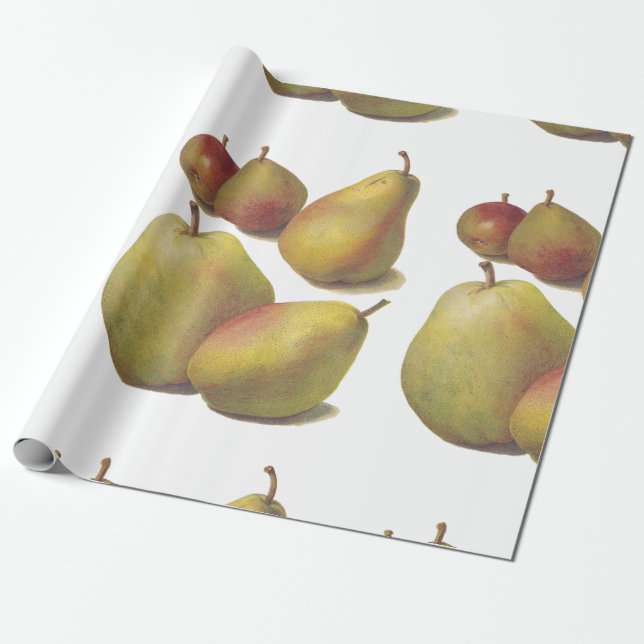 5 illustrerade vintagepears presentpapper (Utrullad)