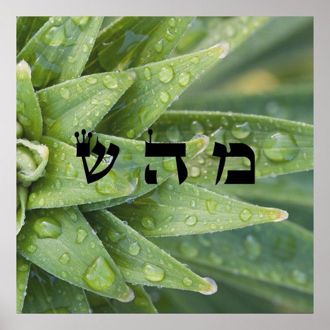 5 Lagning - 72 Namn av Gud Poster (Framsidan)