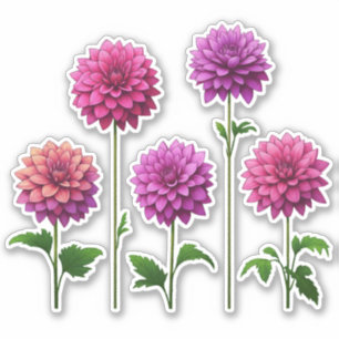 5 Rosa - Lila Dahlia (ljus) Klistermärken