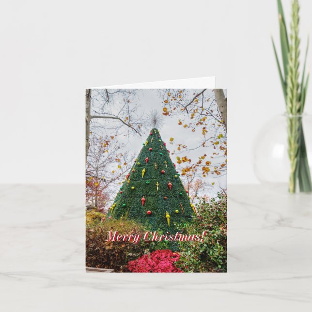 5 SDC-julkort i Träd Helgkort (Framsida)