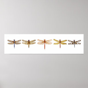 5 sländor poster