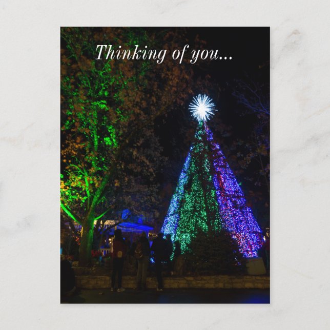 5 Story Sdc Träd Night Vykort (Framsida)