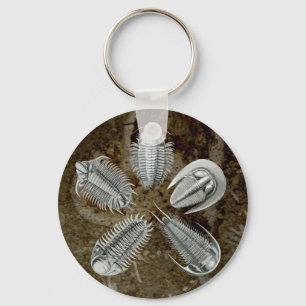 5 Trilobites Keychain Nyckelring