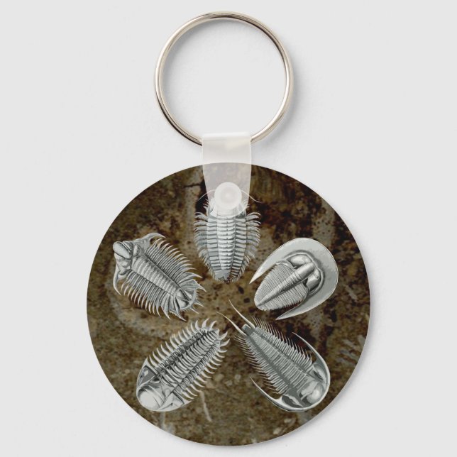 5 Trilobites Keychain Nyckelring (Framsida)