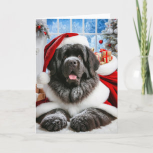 5 tum x 7 tum Flamt Newfoundland Hund Santa Card Kort