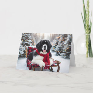 5 tum x 7 tum Mapp Landseer Newfoundland, Helgdag Helgkort