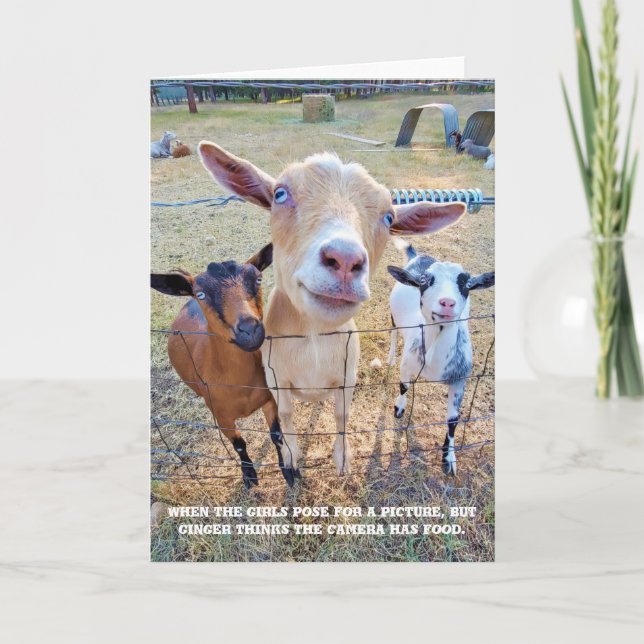 5-tums x7-mappat kort || Livsmedelsinriktning (Framsida)