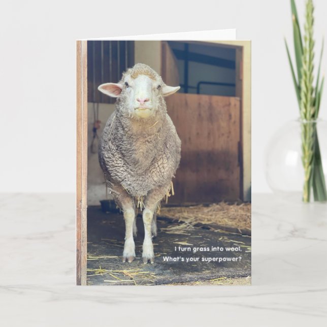 5-tums x7-mappat kort || Marshmallow (Framsida)