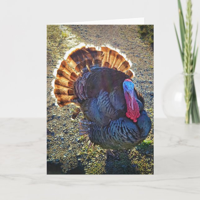 5-tums x7-mappat kort || Sunrise Thomas (Framsida)