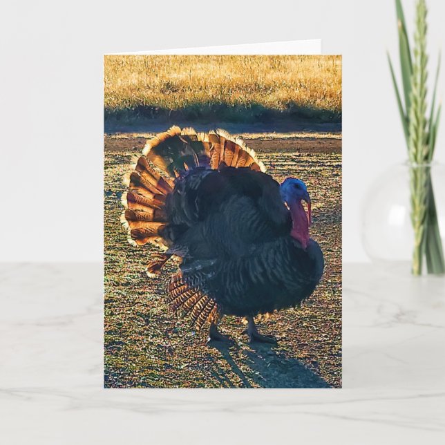 5-tums x7-mappat kort || Thomas a-Struttin" (Framsida)