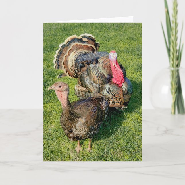 5-tums x7-mappat kort || Thomas & Henrietta (Framsida)