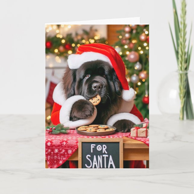 5-tums x 7-tums mappade Helgdag-jultomtekakor Helgkort (Framsida)