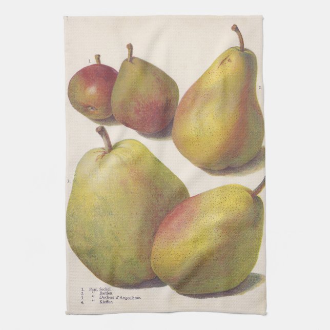 5 vintage päron illustrerade kökshandduk (Vertikal)