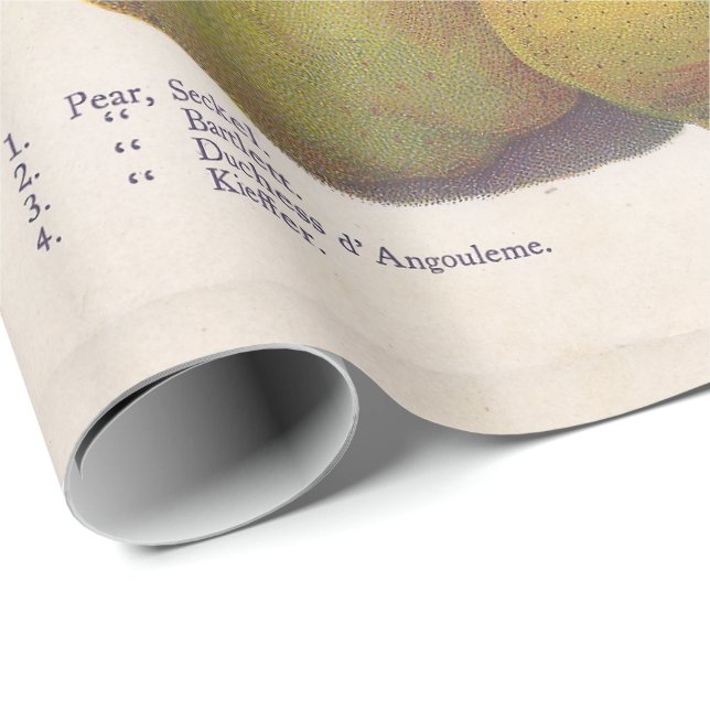 5 vintage päron illustrerade presentpapper (Rullad Hörn)