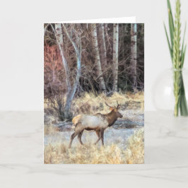 5"x7"-mappat kort|| Bull Elk Kort