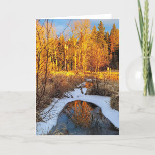5"x7"-mappat kort Reflektion 2 i Bäck