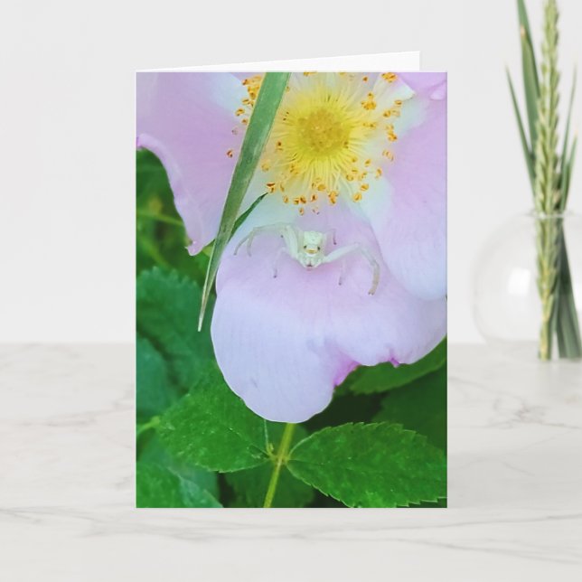 5"x7"-mappat kort|| Smilin" på dig Kort (Framsida)