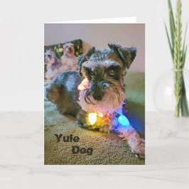 5"x7" Vikbart Kort || Yule Dog