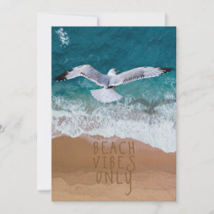 5 x 7 Beach Vibes Endast Fiskmås Seashore Beach Ar