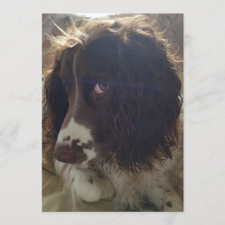 5 x 7 blankfödelsedagskort kort