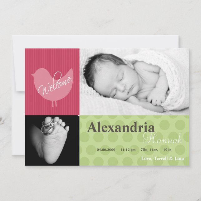 5 x 7 Flicka Rosa Bird Birth Notice Meddelande (Framsida)
