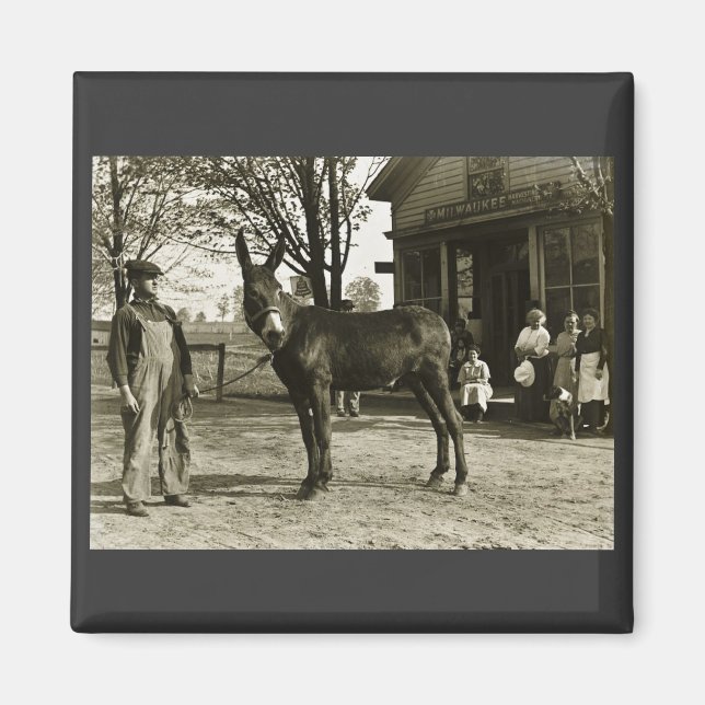 5 x 7 GLASS NEGATIV Milwaukee Mule Magnet (Framsidan)